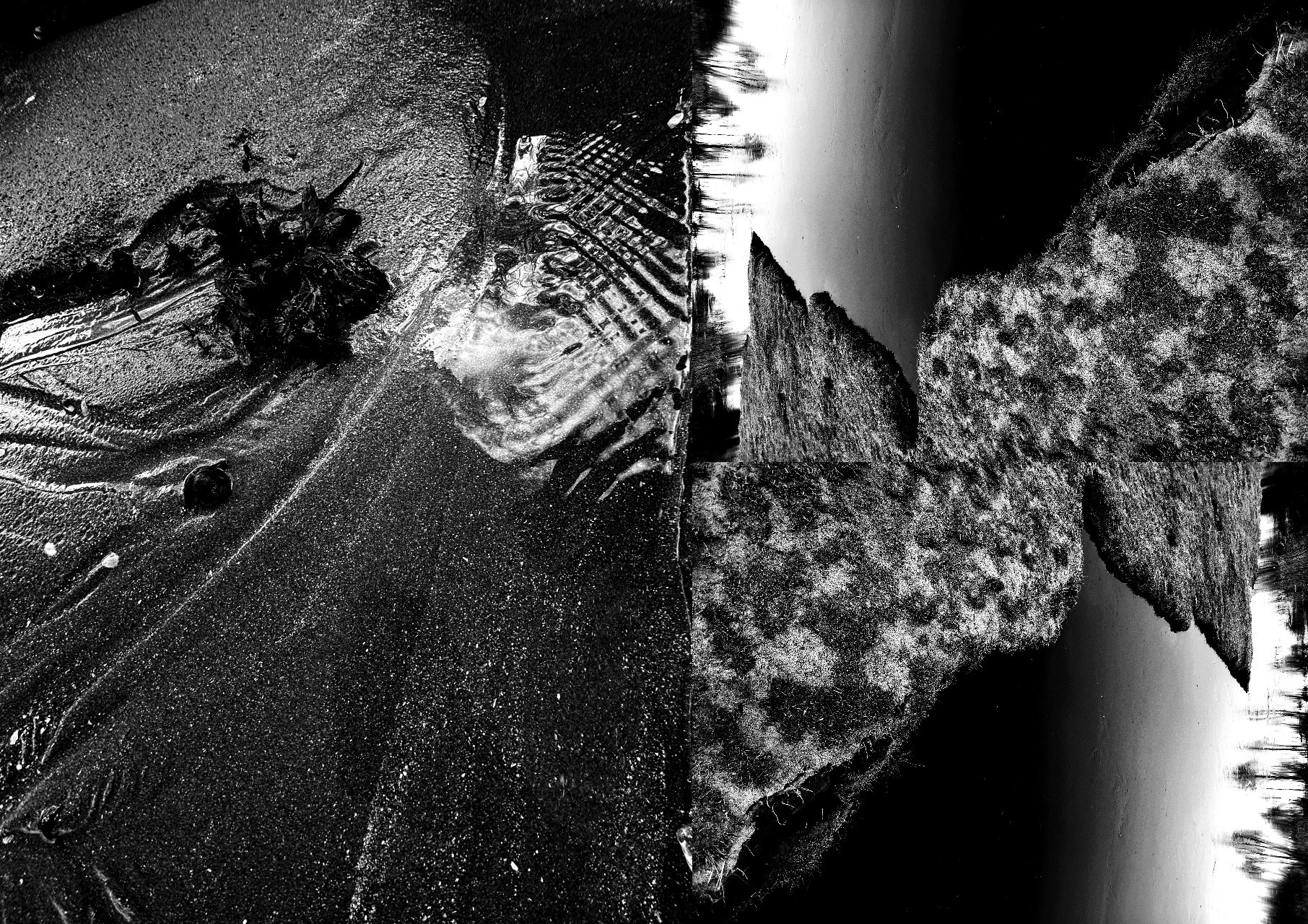 Петрова Диана. ARTEXPOPHOTO