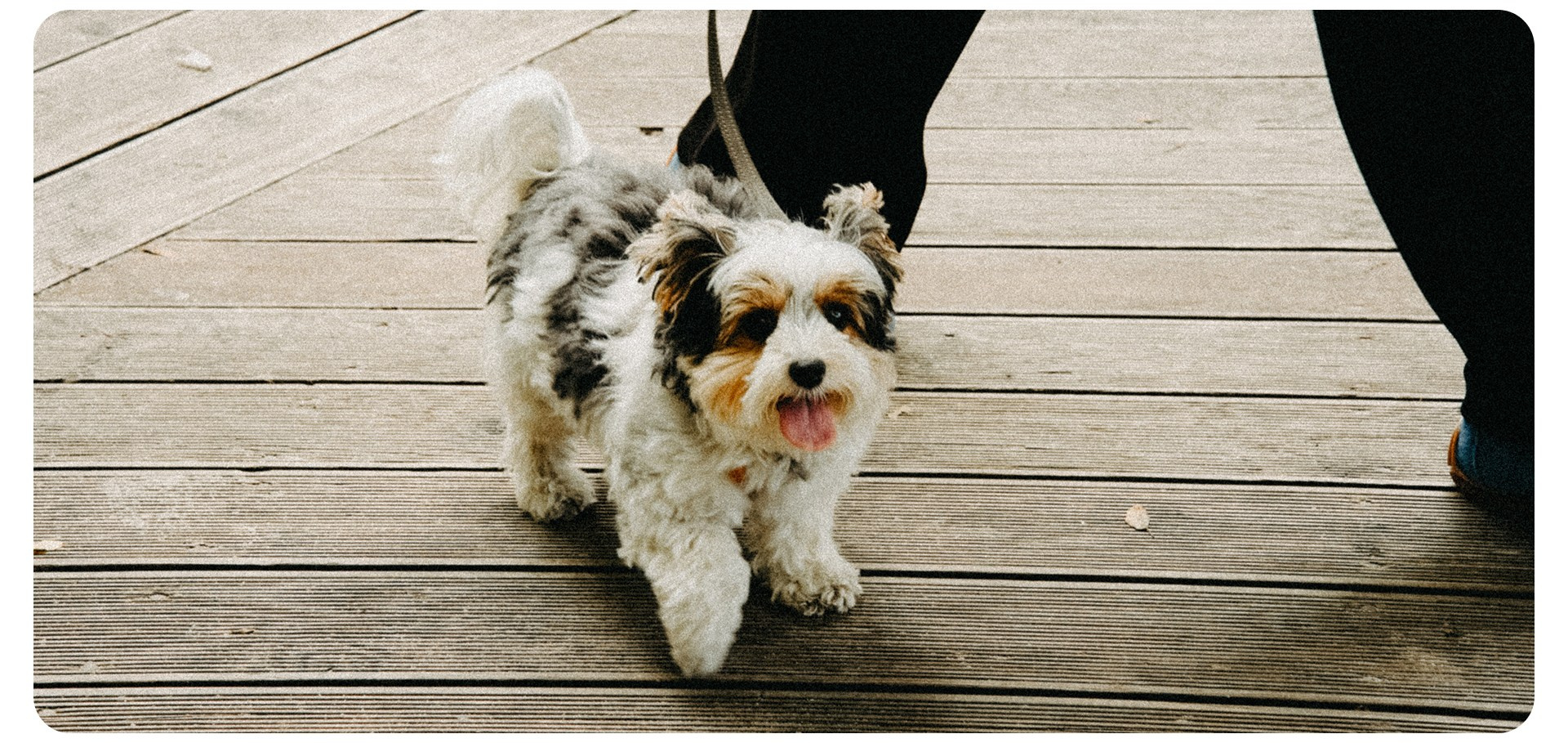 Калининград 3. Фотограф из Москвы — DASHA NOVA | Авторская фотография в разных жанрах