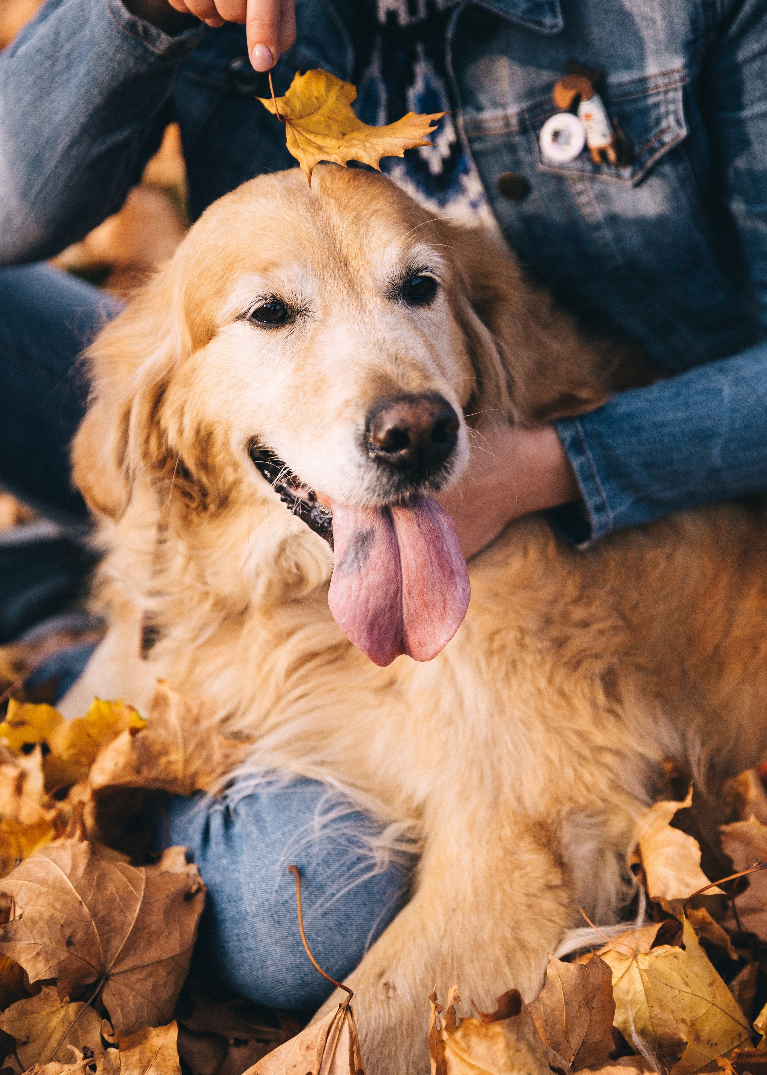 Обо мне. Фотохудожник Татьяна Бойцова