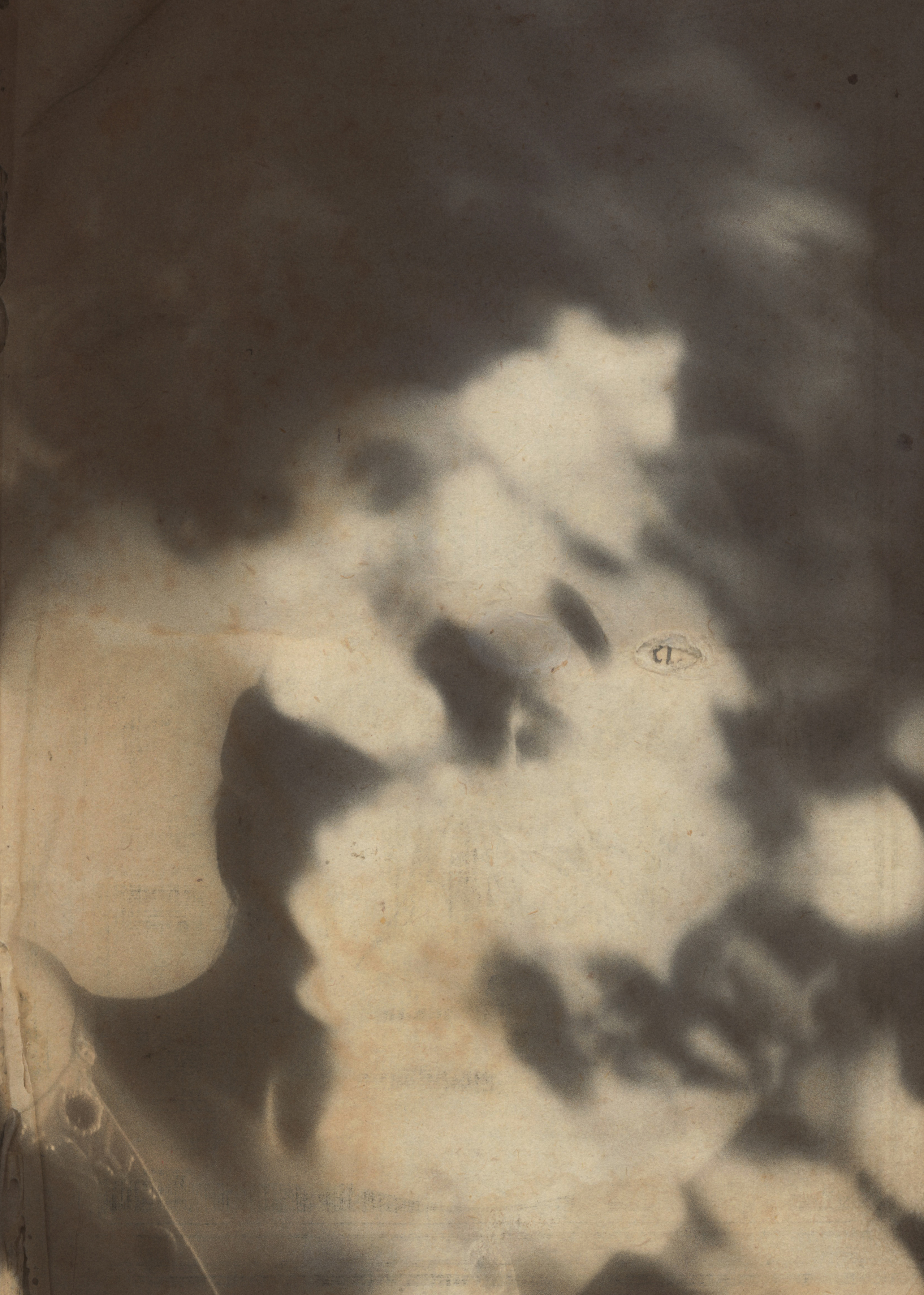 Свадебный проект «РОМЕО И ДЖУЛЬЕТТА». Фотограф в Омске Екатерина Павлова