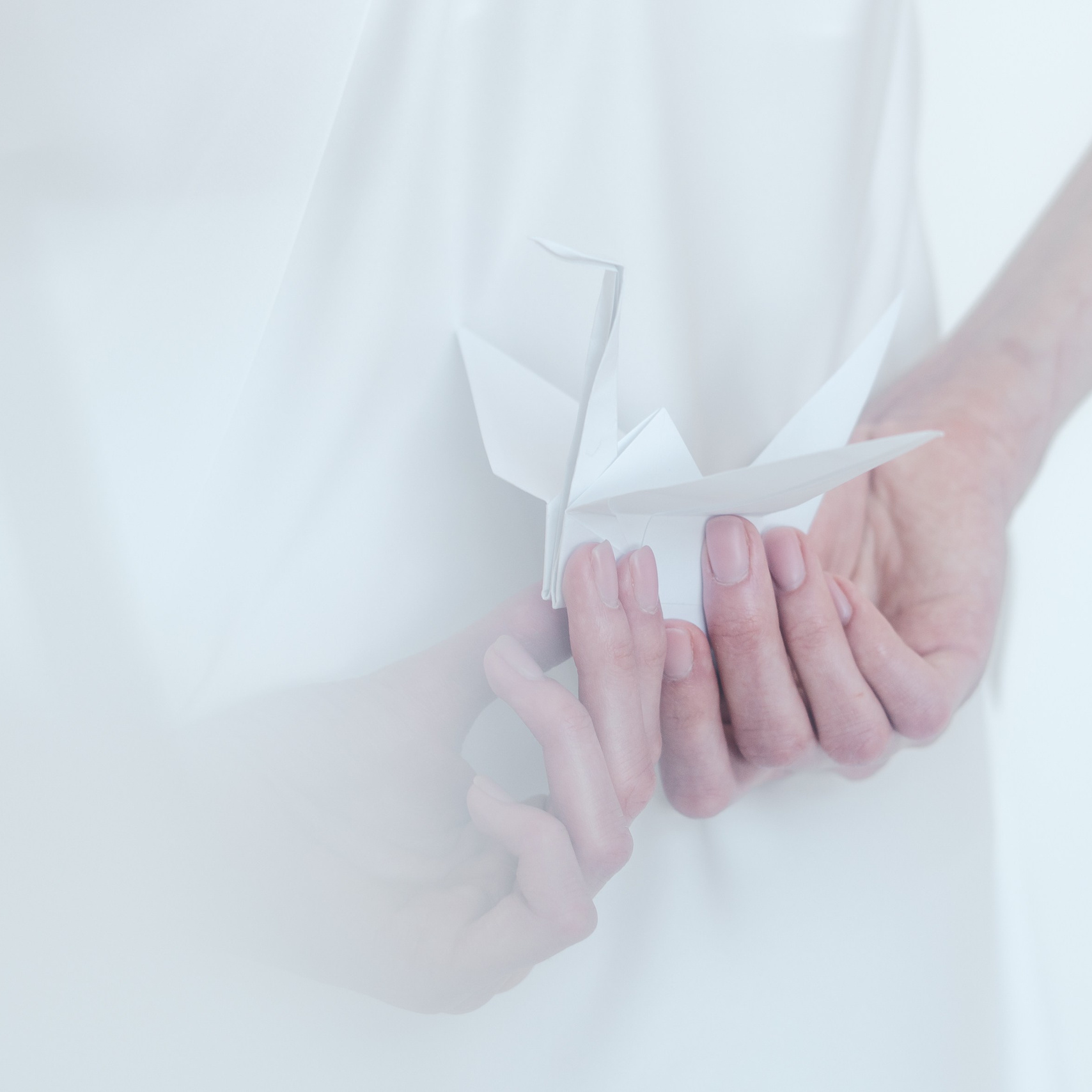 Экспресс обучение