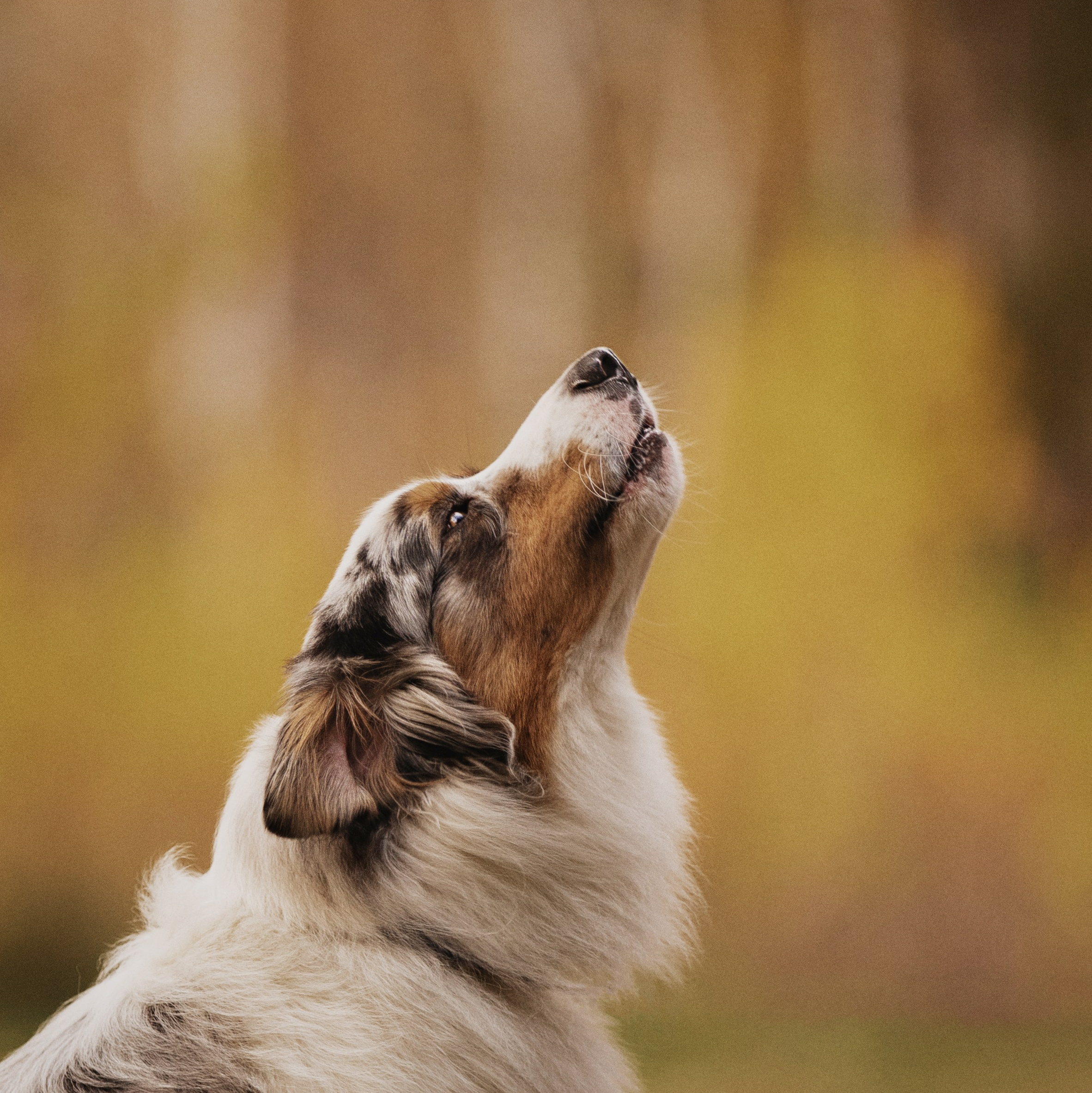 Услуги. Kameramotor74