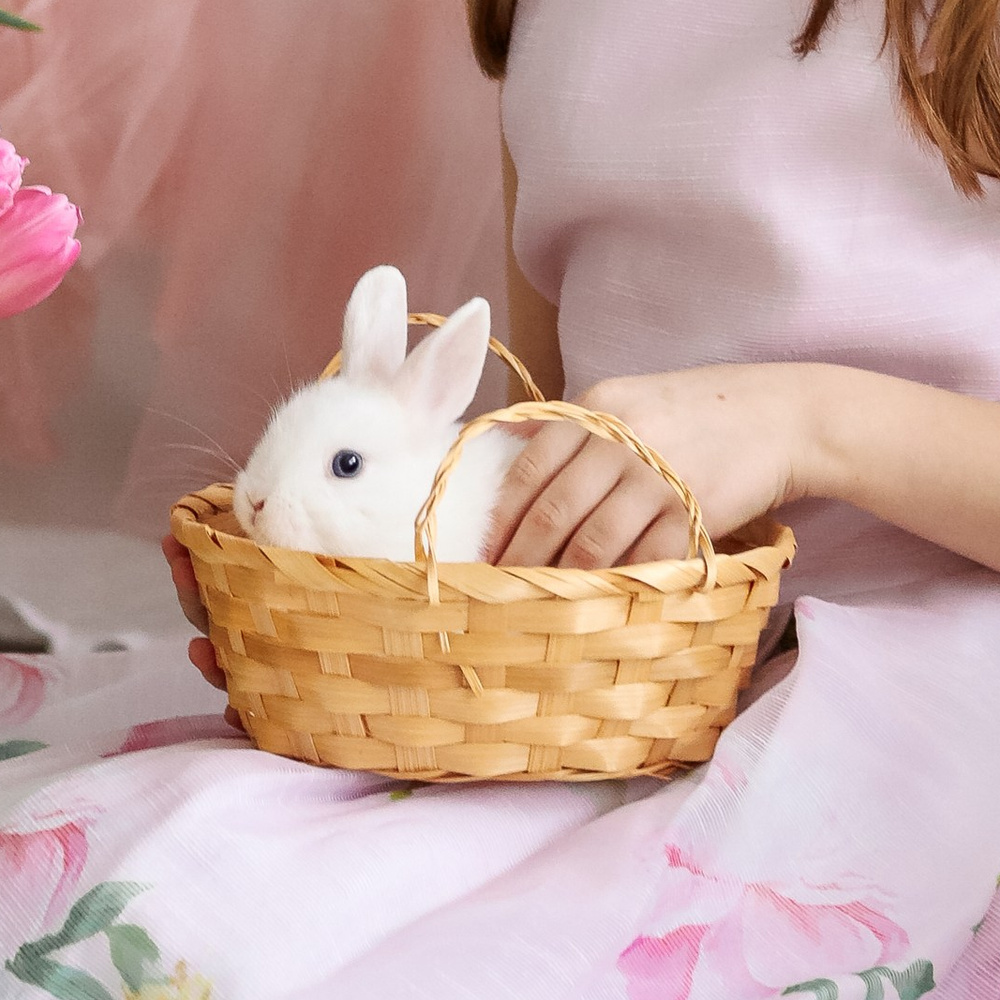 Кролики. Фотостудия LIGHT в Люберцах