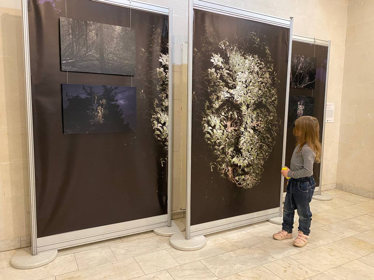 Exhibition “Paradoxes of evolution” Darwin Museum. Moscow 2022. Ирек Шаманаев — фотограф и художник, работающий на стыке документального и концептуального подходов