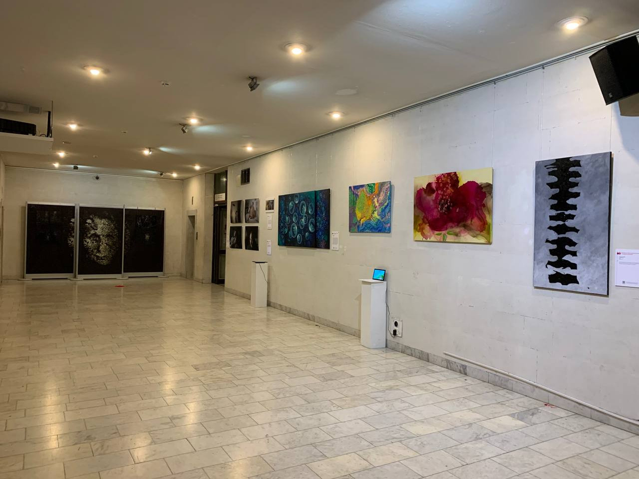 Exhibition “Paradoxes of evolution” Darwin Museum. Moscow 2022. Ирек Шаманаев — фотограф и художник, работающий на стыке документального и концептуального подходов