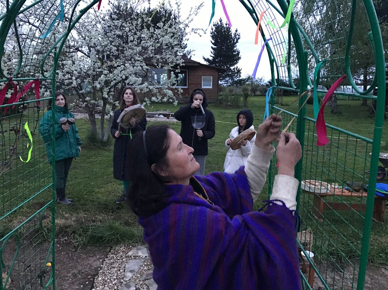 Что происходит на эко отдыхе в эко отеле в Подмосковье. Эко отдых в Подмосковье в эко-отеле Марии Гиппенрейтер