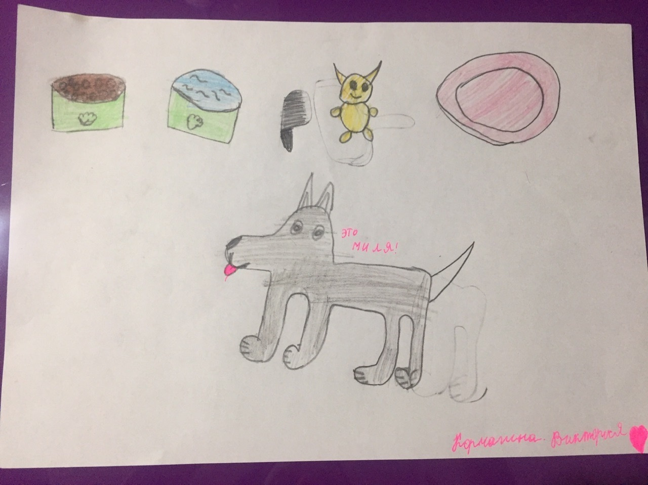 КОНКУРС ДЛЯ ЮНЫХ СОБАКОВОДОВ!!!. НРОО КЦ "Собаковод"