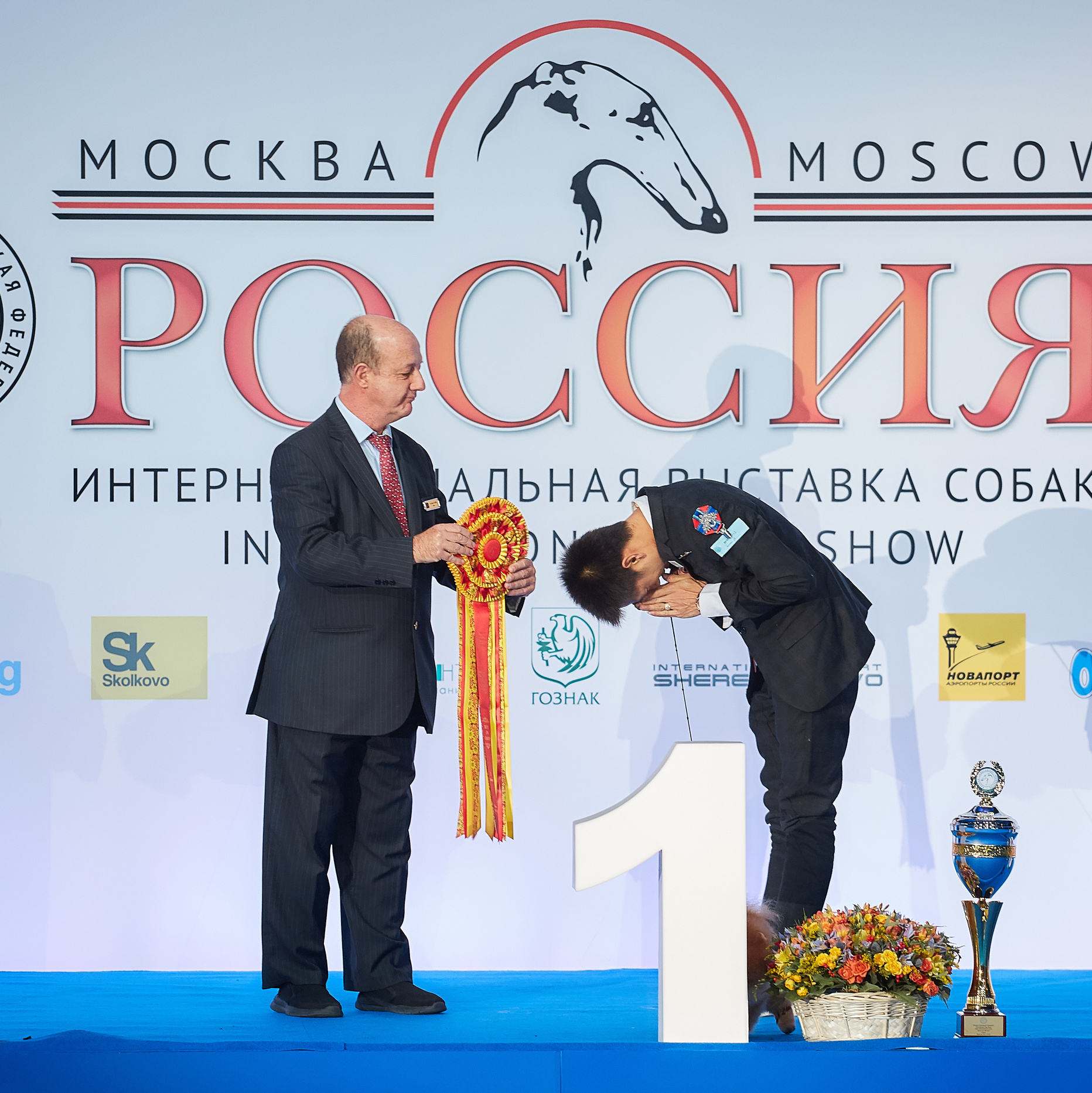 ФОТО ВЫСТАВКИ. ФОТОГРАФ-АНИМАЛИСТ l LANA POLYAKOVA