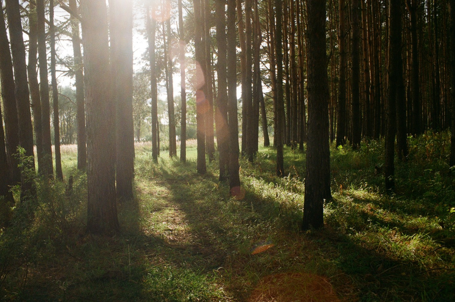 Горетово (2016-2022) — Избранные серии — Документальный фотограф Настя Сергеева