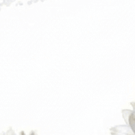 Психология цвета: Белый. Флористическая симфония. Авторские украшения