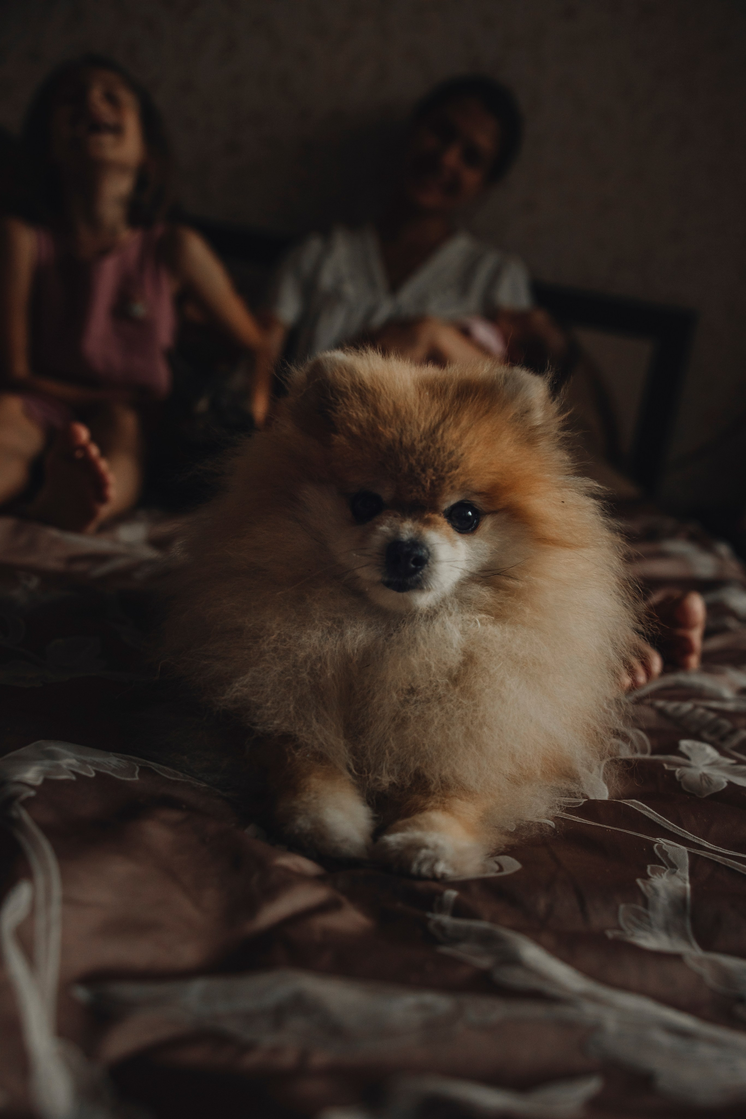 Домашняя съемка семейная съемка съемка ньюборн семейный фотограф #фотограф