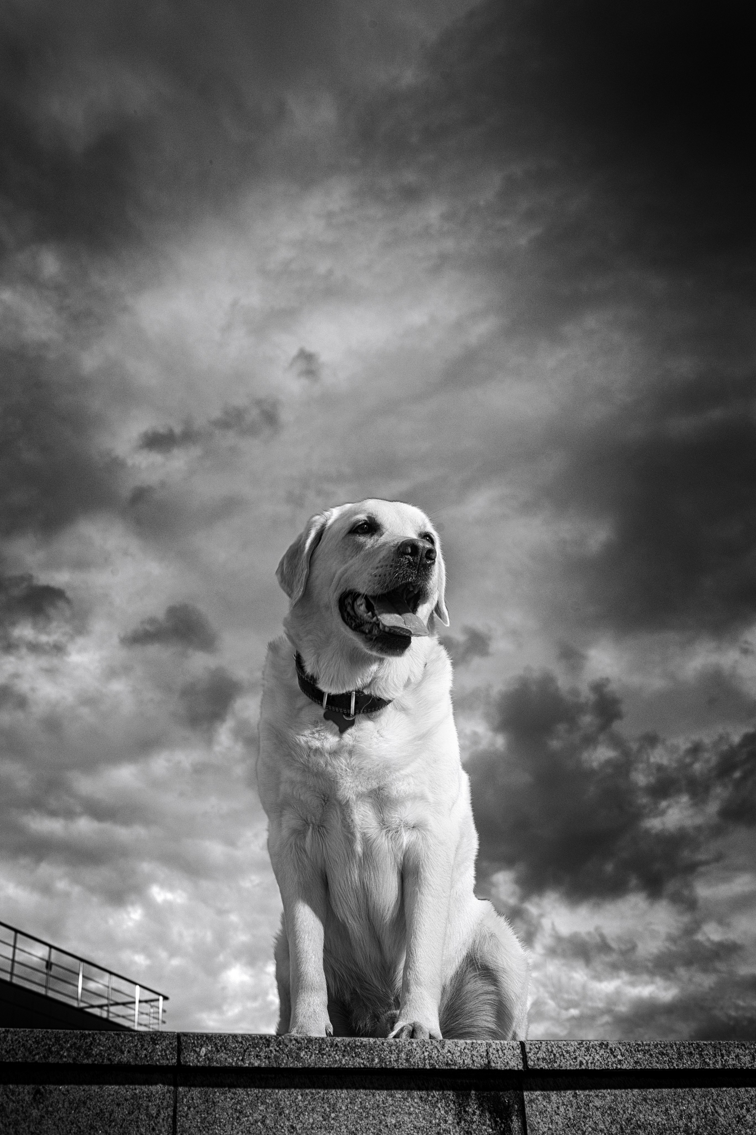 Фотограф Михаил Стенин