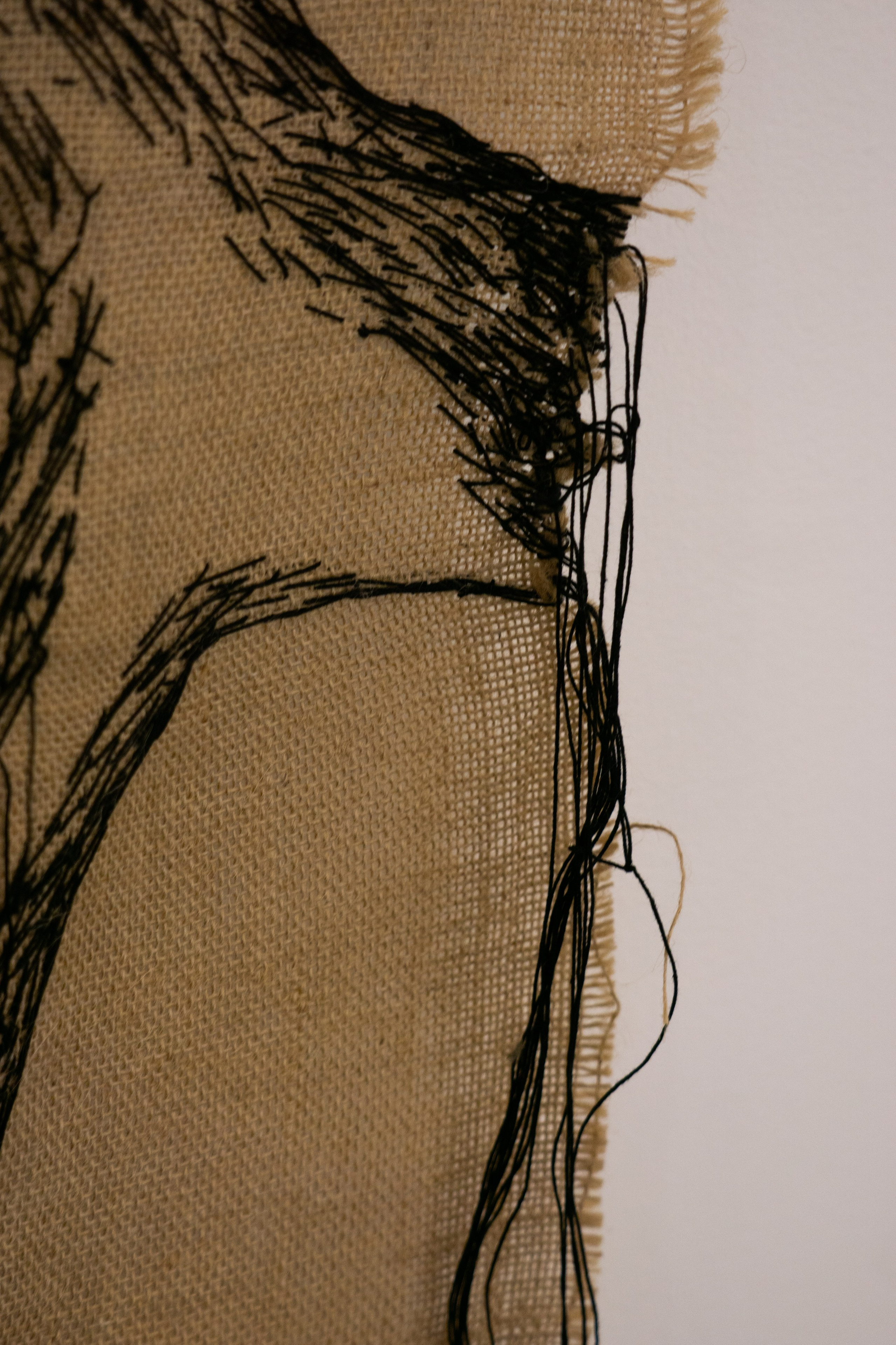 Локус. Anna Vishnevskaya