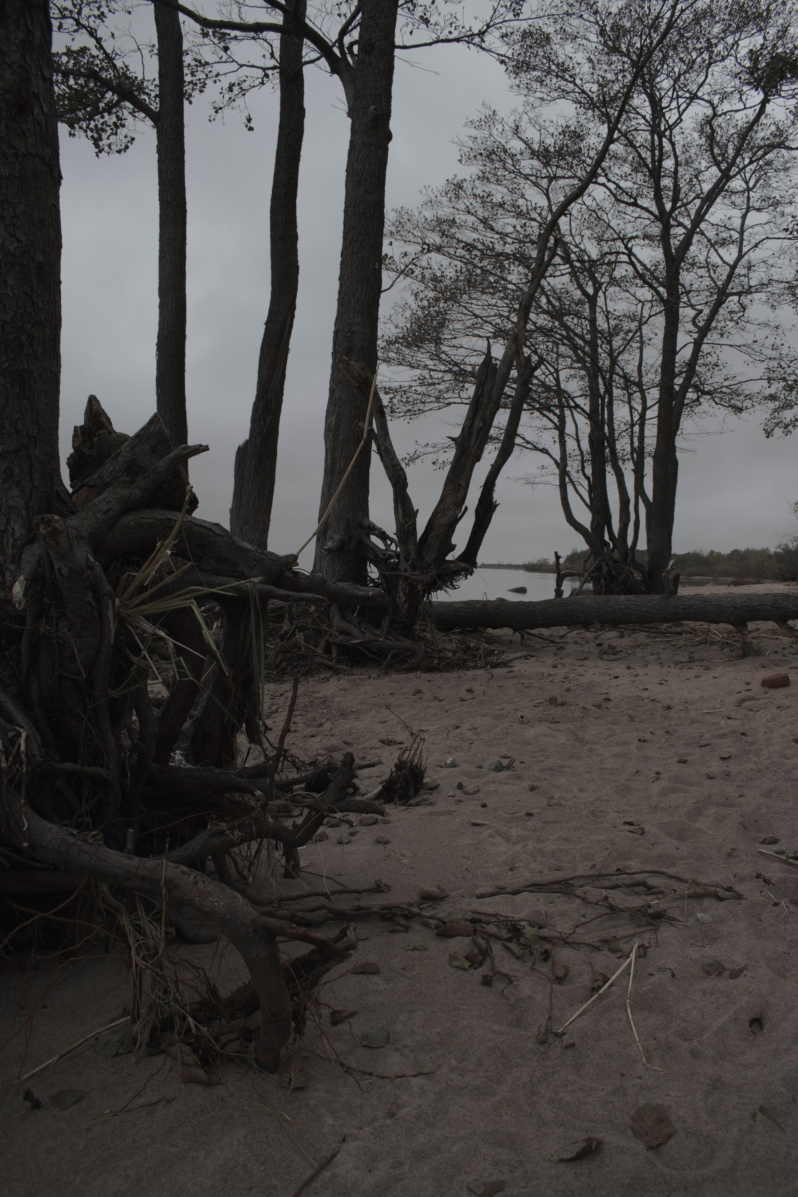 Фотограф в Спб Арина Чеглакова