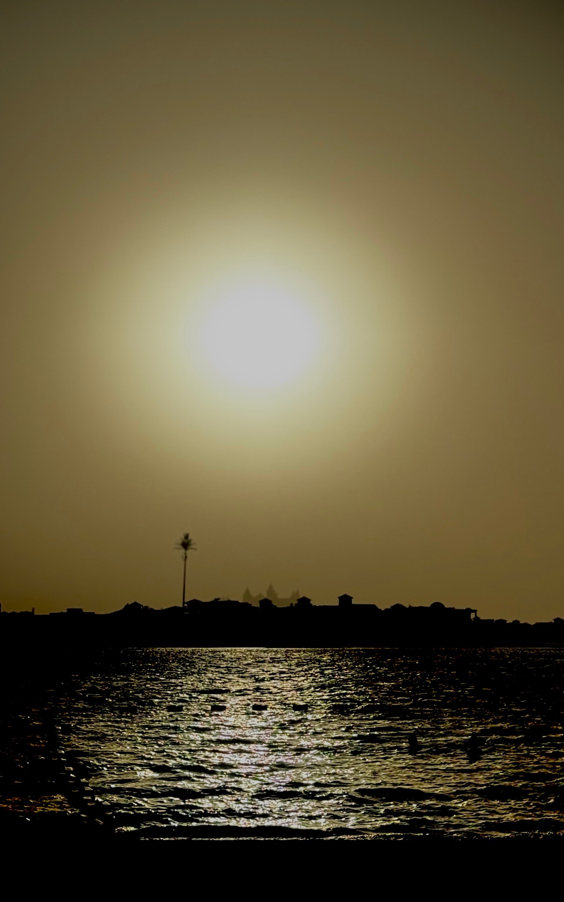 Фотограф и художник в Москве Евгения Нюнина