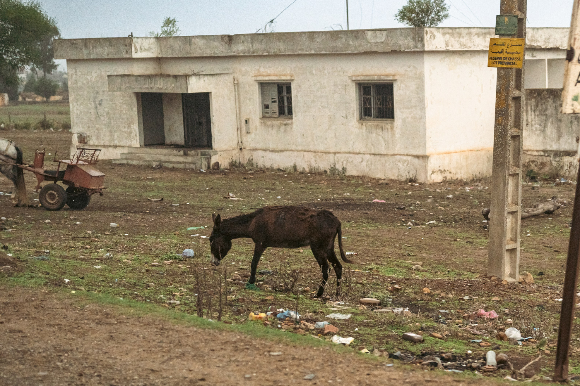 Марокко. Илья Варин — Фотограф Москва, Тверь