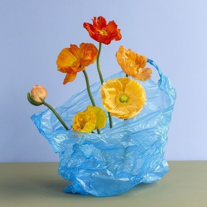 Как подобрать образ для фотосессии. Фотограф в Санкт-Петербурге. Диана Шкутова