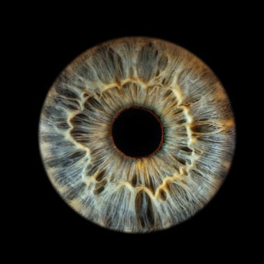 Партнеры - Александр Николаевич. Александр Николаевич — Частный Преподаватель