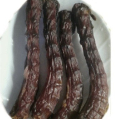 Эколакомства Новосибирск. Самоед Новосибирск