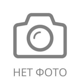 Наша команда. Театральная студия «Лукоморье»