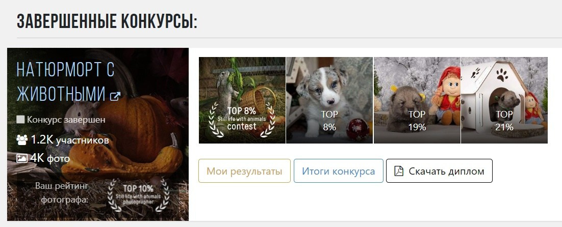Фотограф-анималист Марина Виноградова