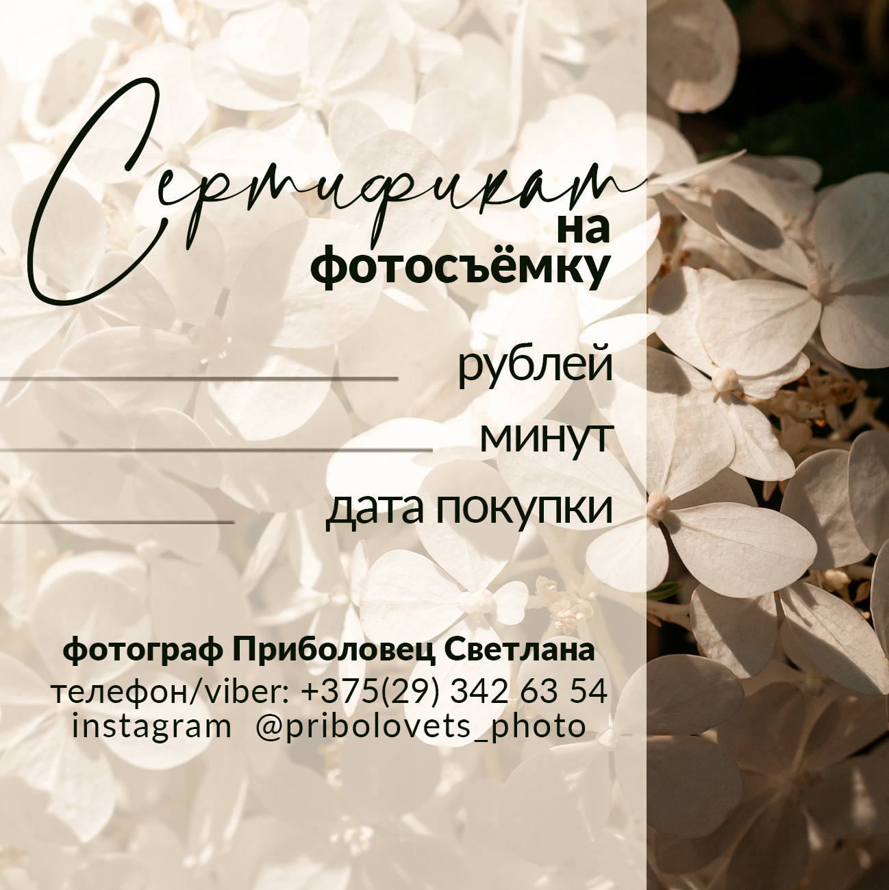 Услуги и цены. Семейный фотограф в Минске Приболовец Светлана