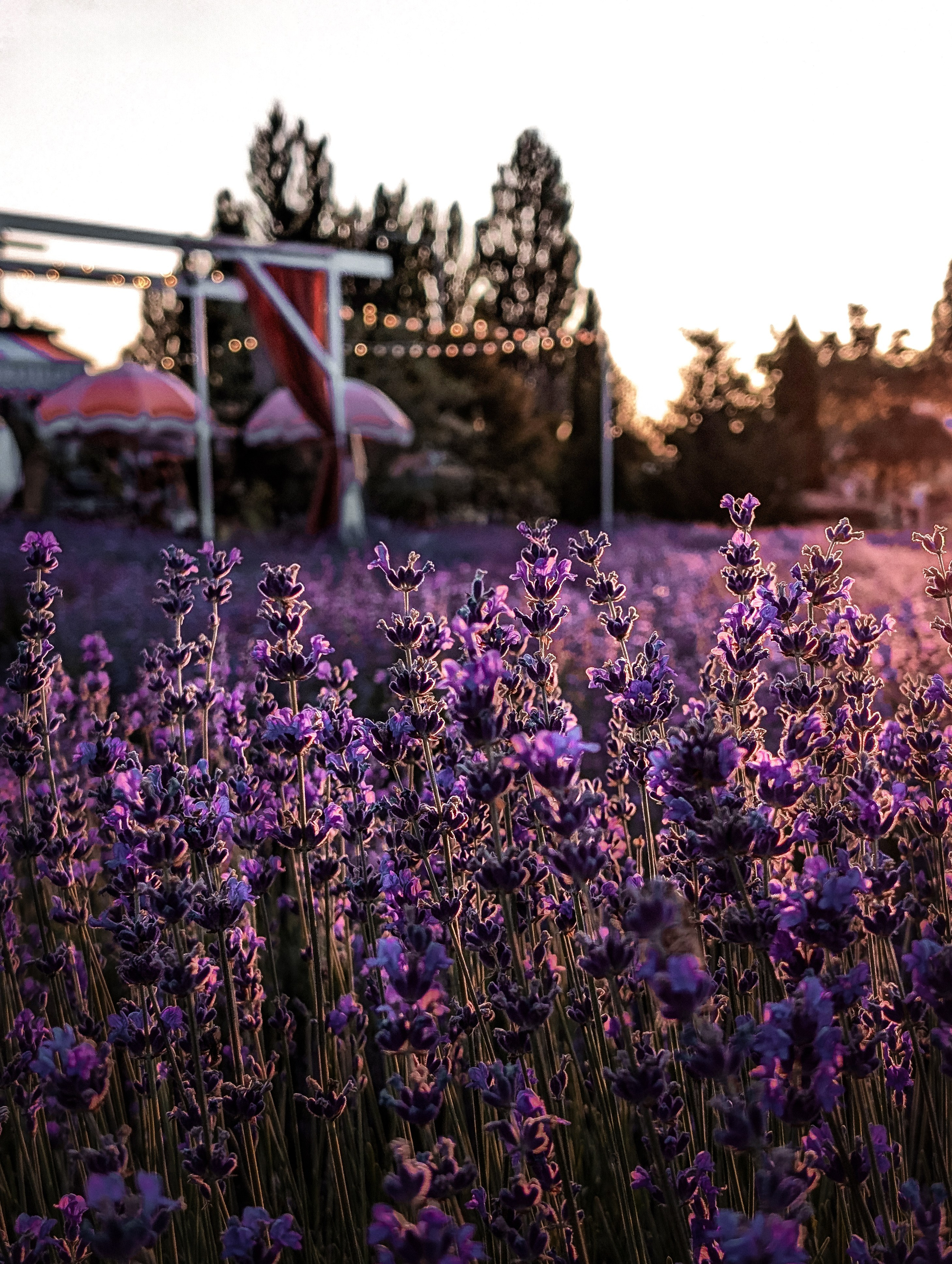 Работы учеников. ФОТОШКОЛА VISION — курс по мобильной фотографии в Москве, курс по фотографии Владимира Васильева