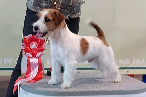 Port Fortis Rock-N-Roll