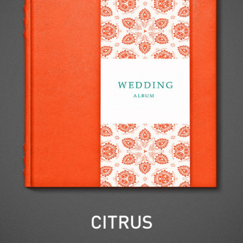 Услуги свадебного фотографа в Спб. Цены на свадебную фотосессию. Фотограф в Санкт-Петербурге, — Евгения Солнцева