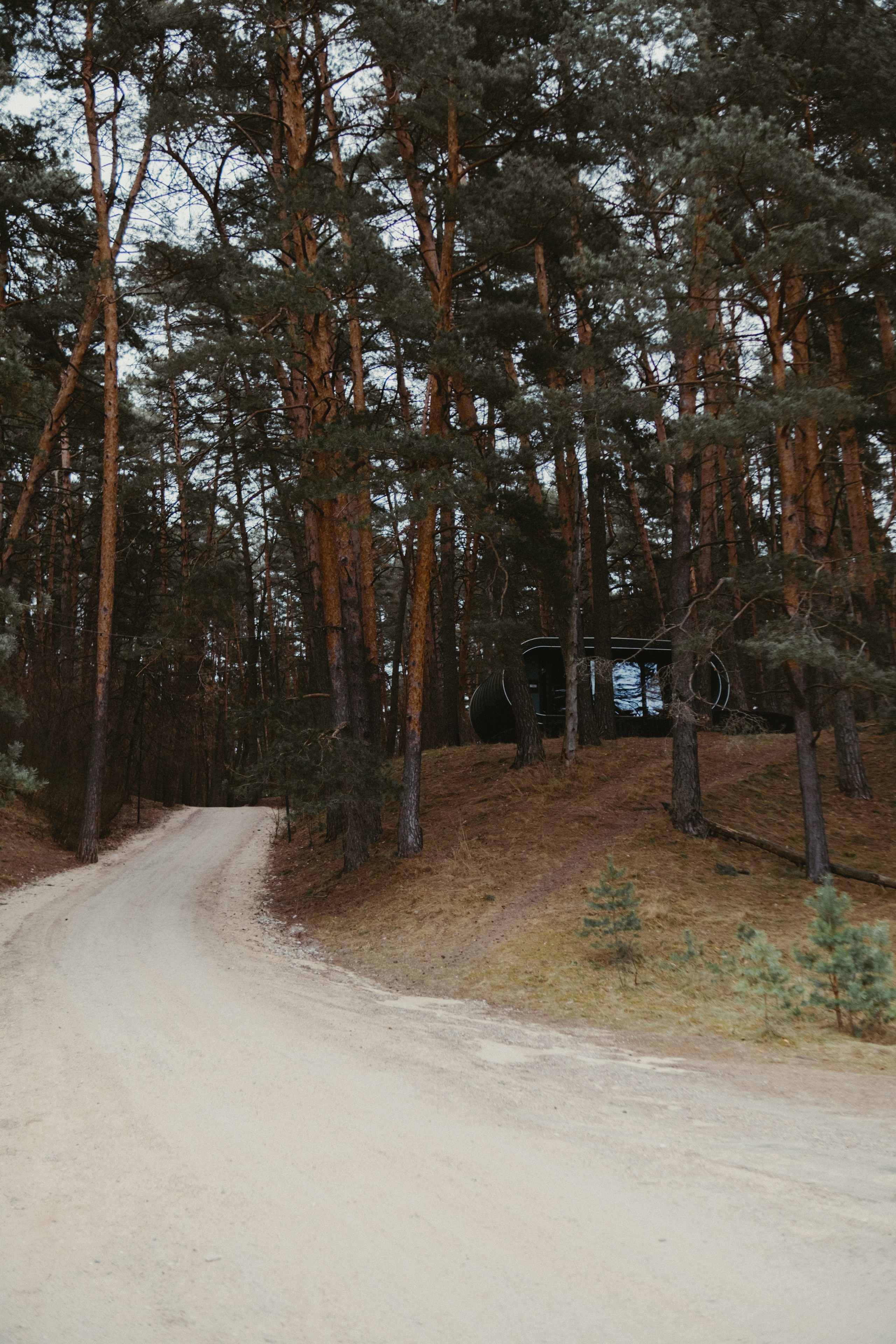 Pine River. Персональный фотограф Москва Кислякова Алина. Фотограф в Дубае, ОАЭ