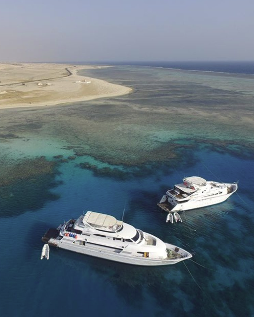 Египет. Дайвинг-клуб «Капитан Морган», Беларусь