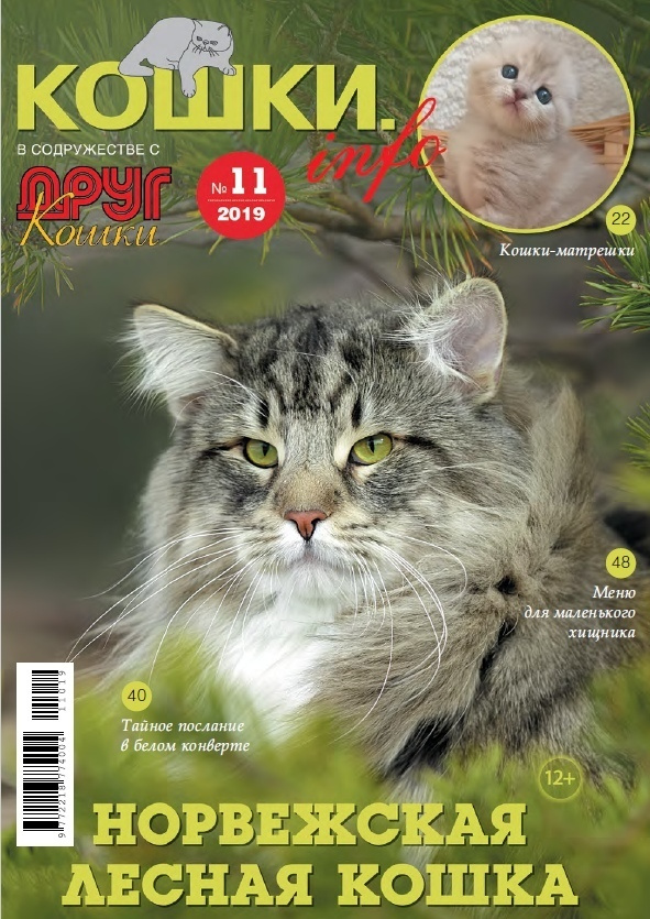 Публикации. Фотограф анималист в Санкт-Петербурге Светлана Писарева