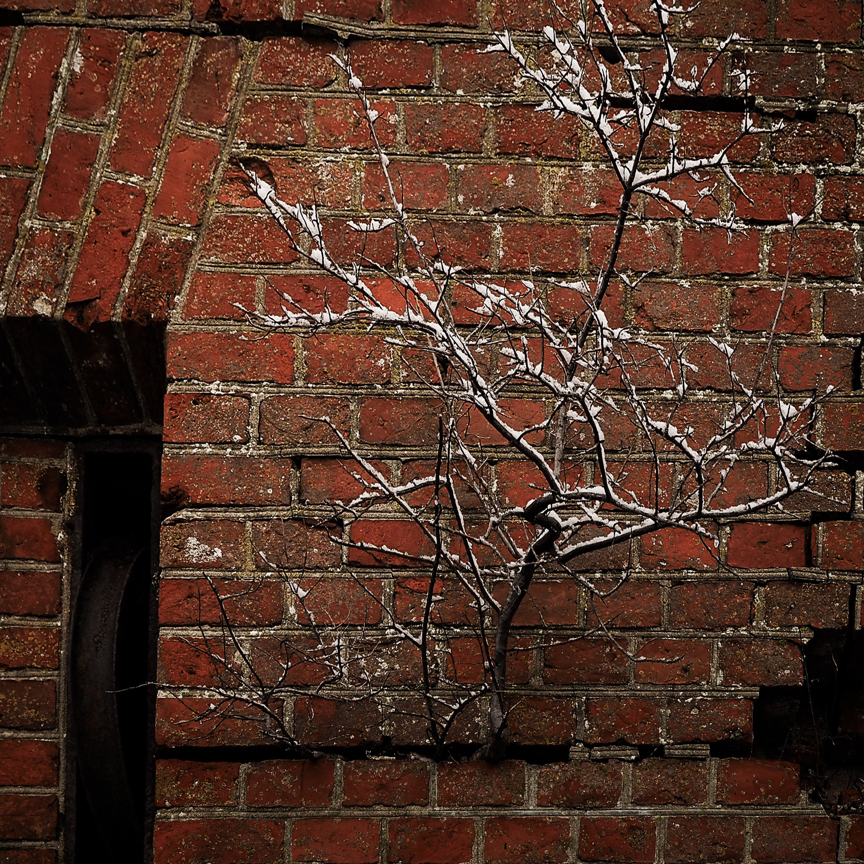 Кураторский проект «Инородное тело»