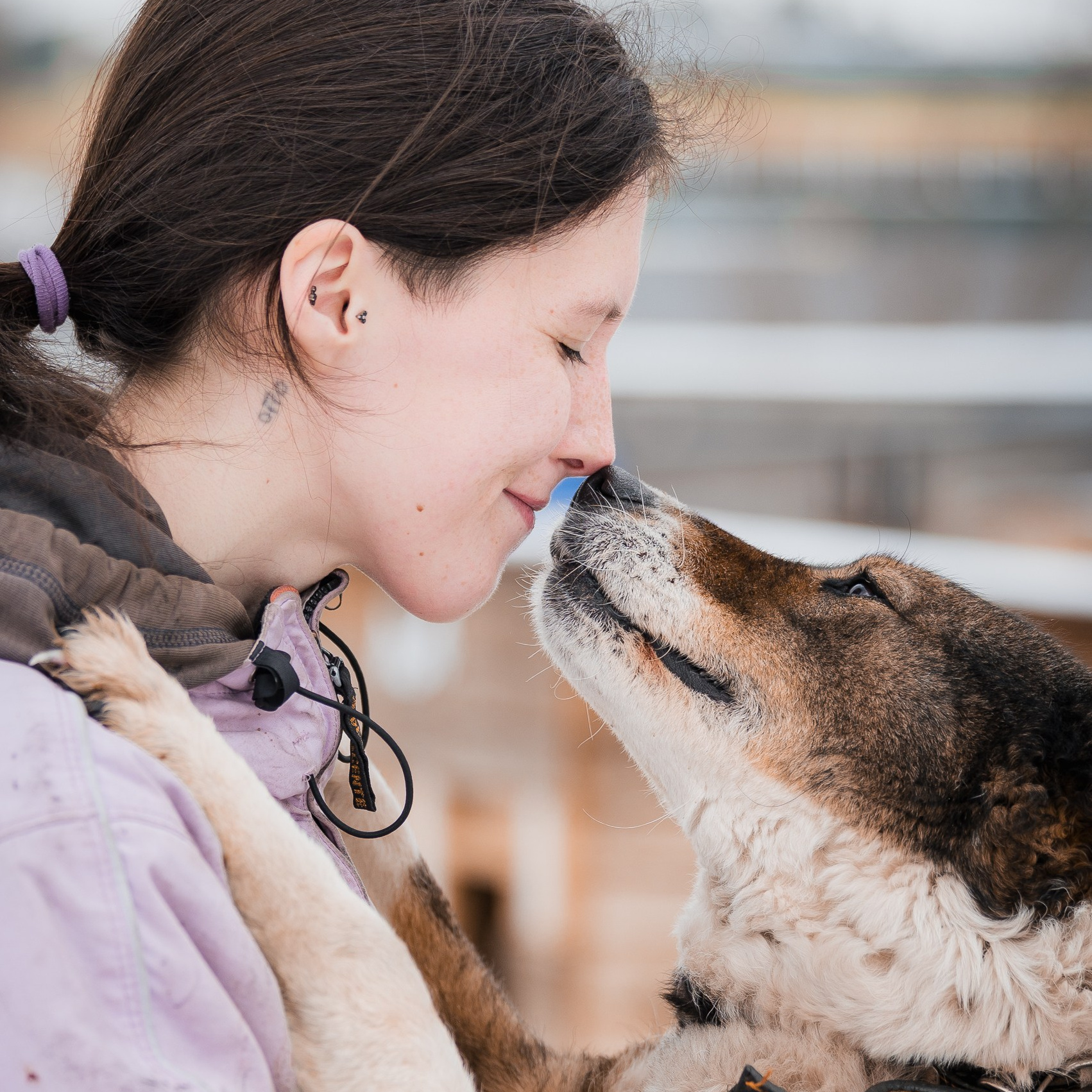 Улыбка собаки — спасение и пристройство бездомных собак