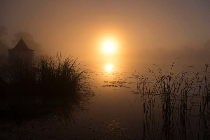 Ваш личный фотограф Марина Волкова