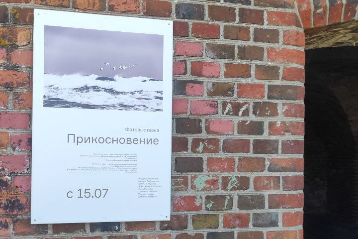 Выставка «Прикосновение». Julia Gorbunova