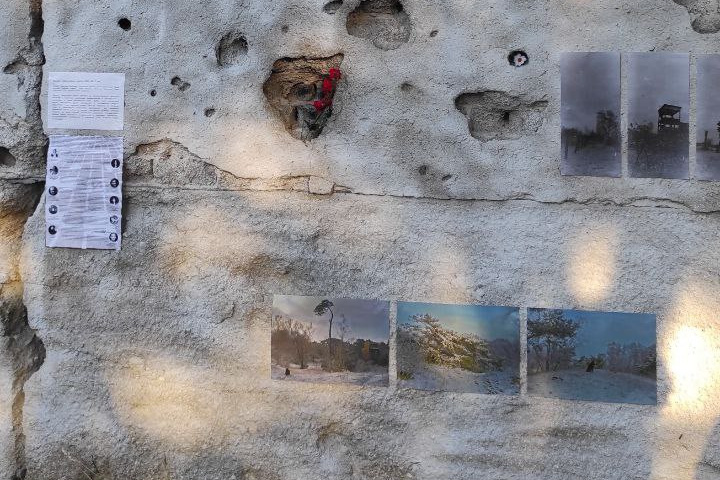 Foreign body. Julia Gorbunova