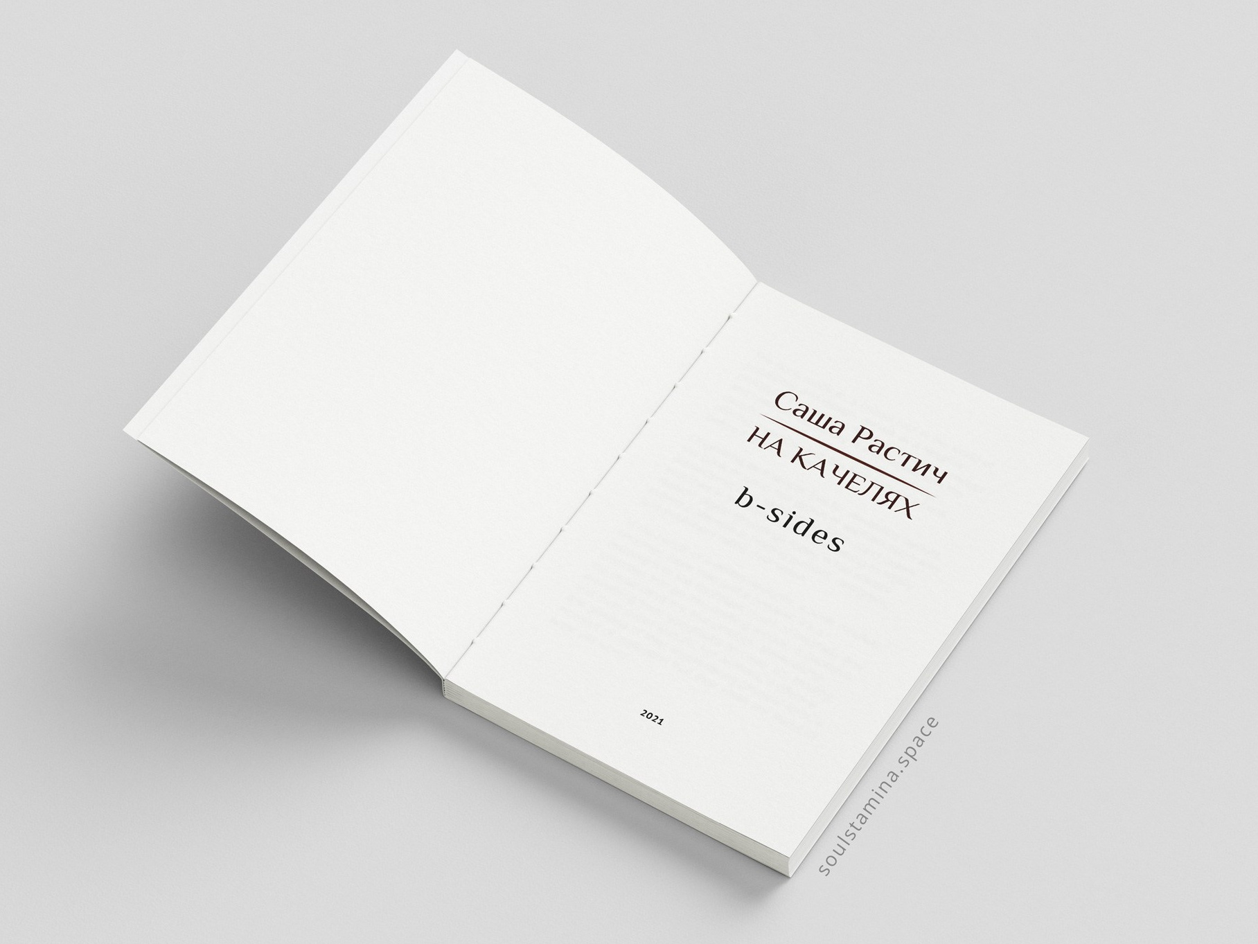 НА КАЧЕЛЯХ. B-SIDES. Soulstamina ~ graphic designer & visual artist from St.Petersburg