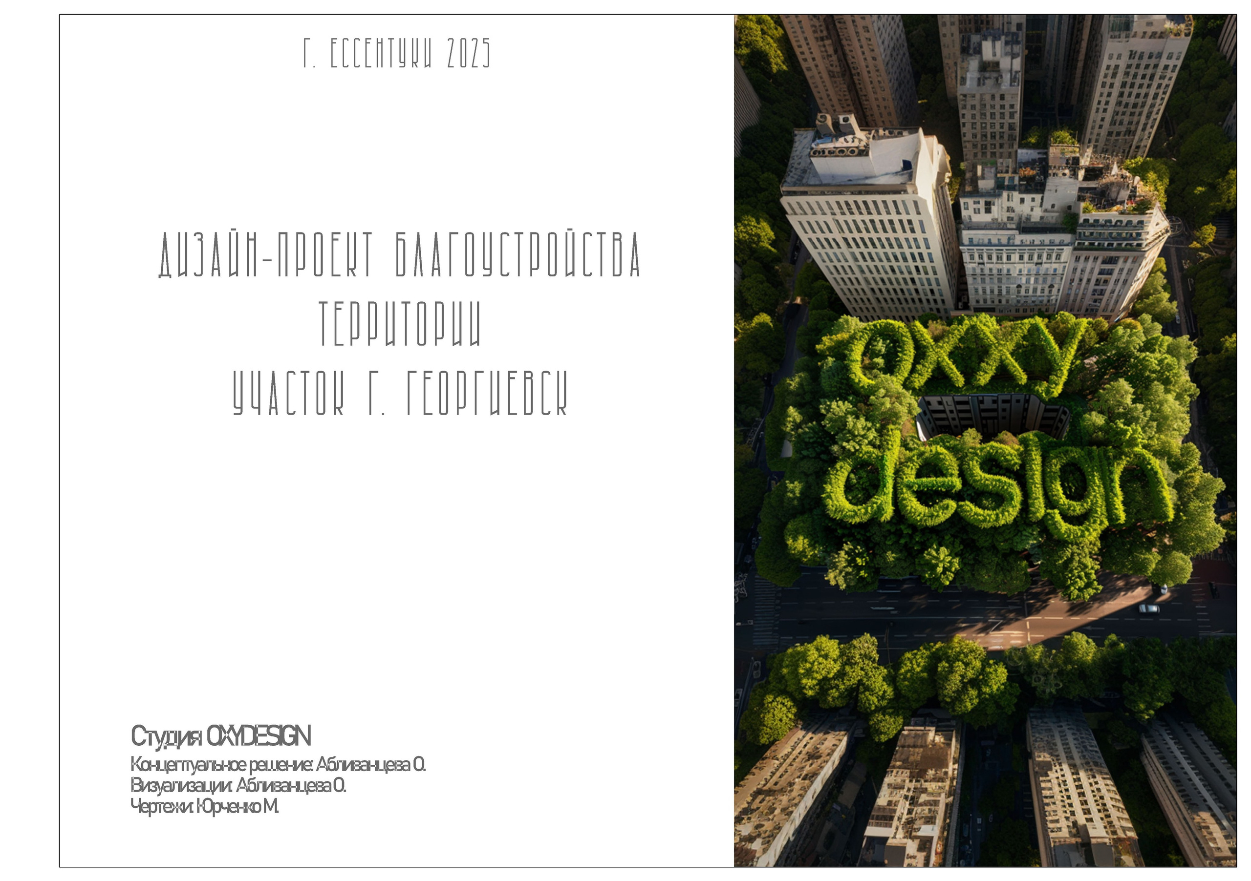 Ландшафтный проект участка г. Георгиевск. Студия интерьерного и ландшафтного дизайна