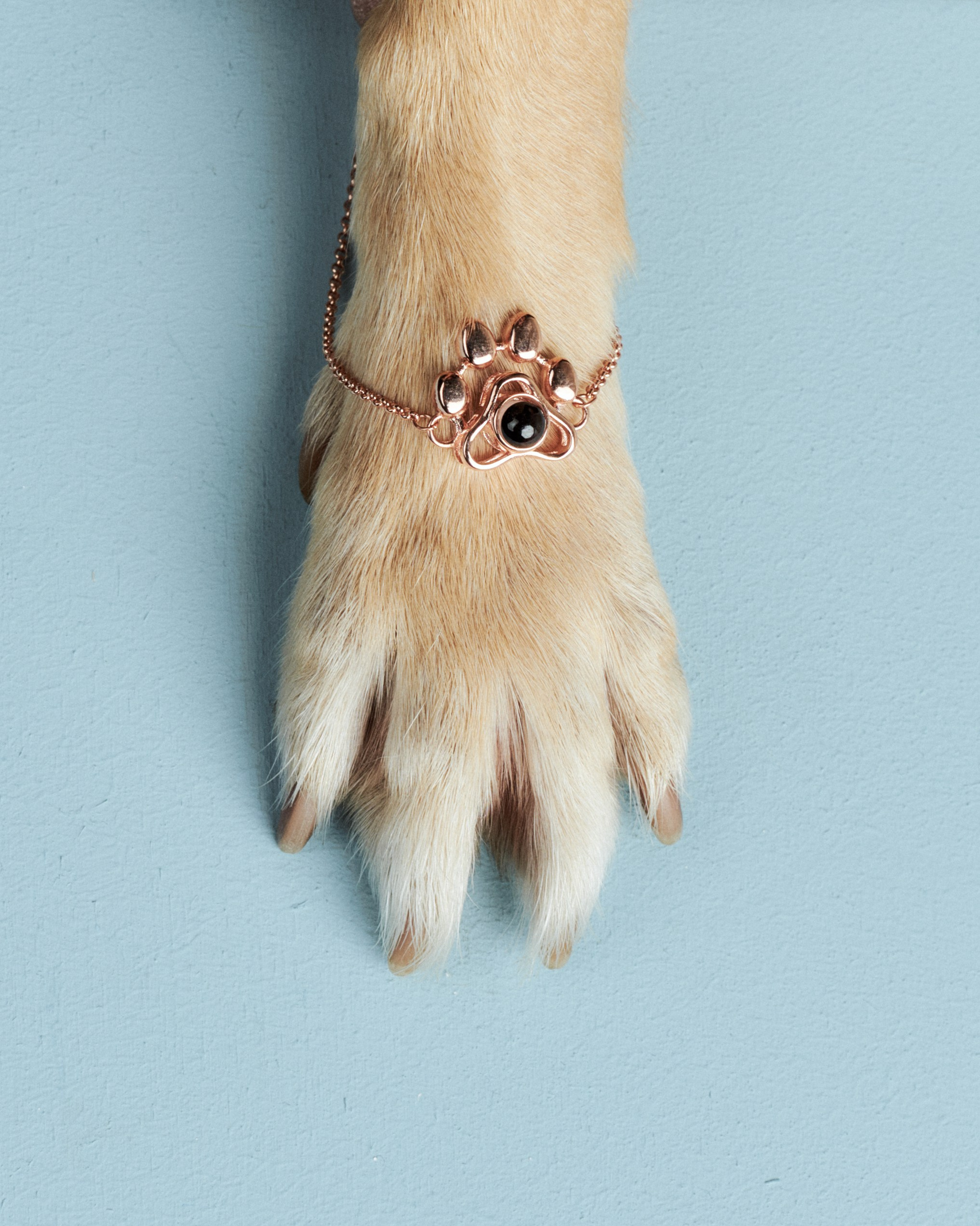 Chaotic.ph | Фотограф и гаффер