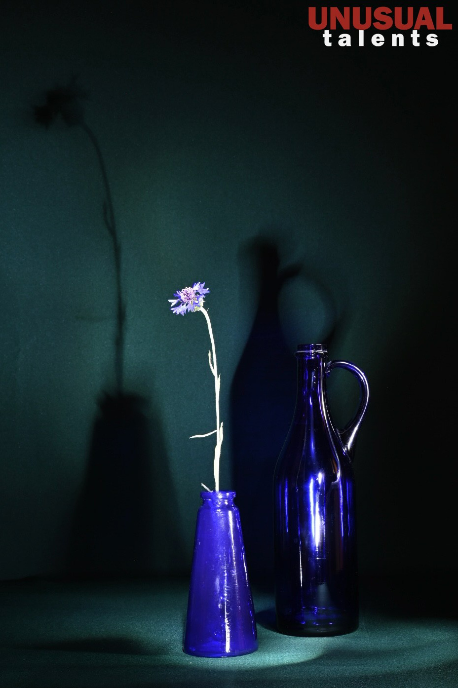 Victoria Victorovna. UNUSUAL TALENT magazine