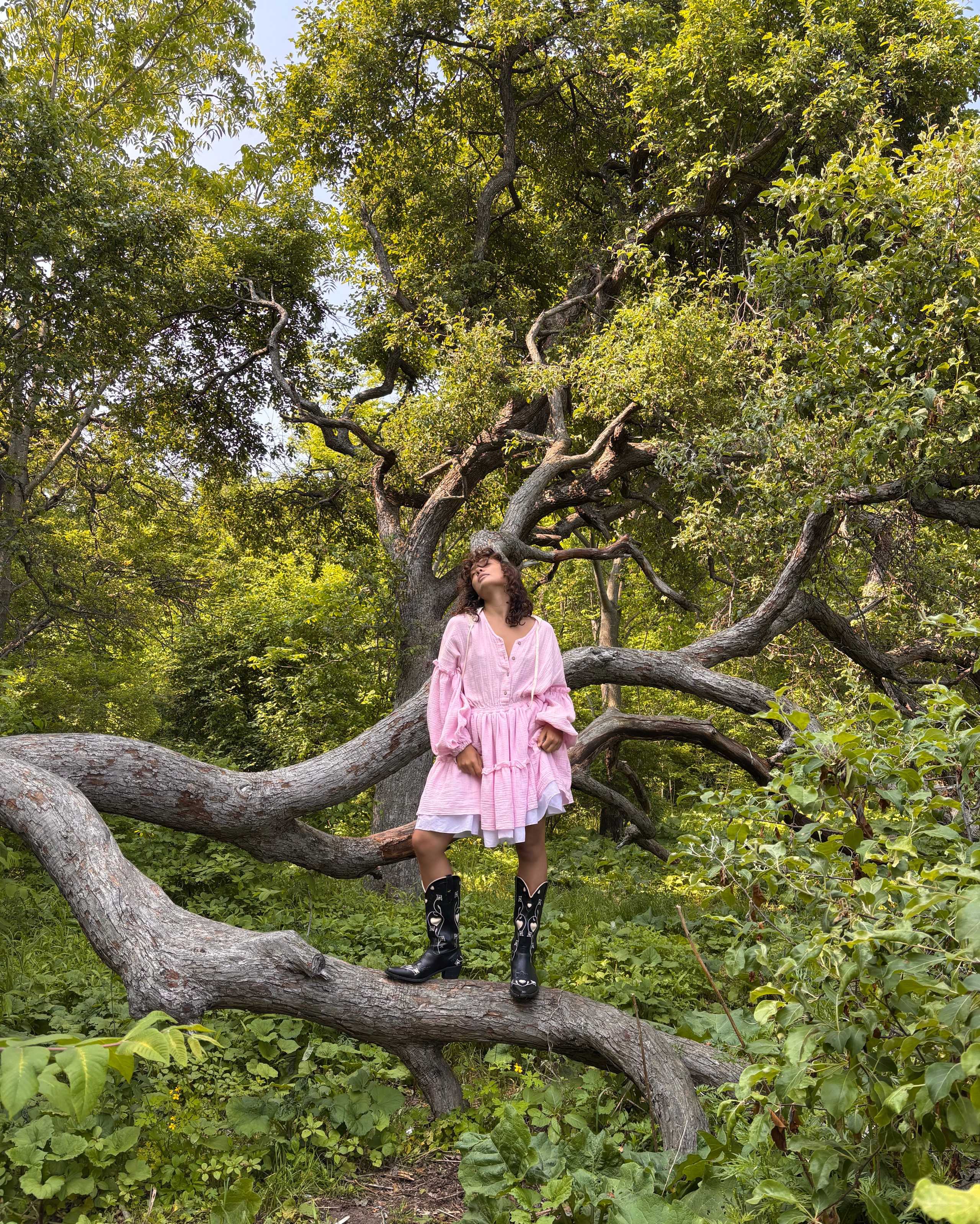 Платья и костюмы. Iva rent