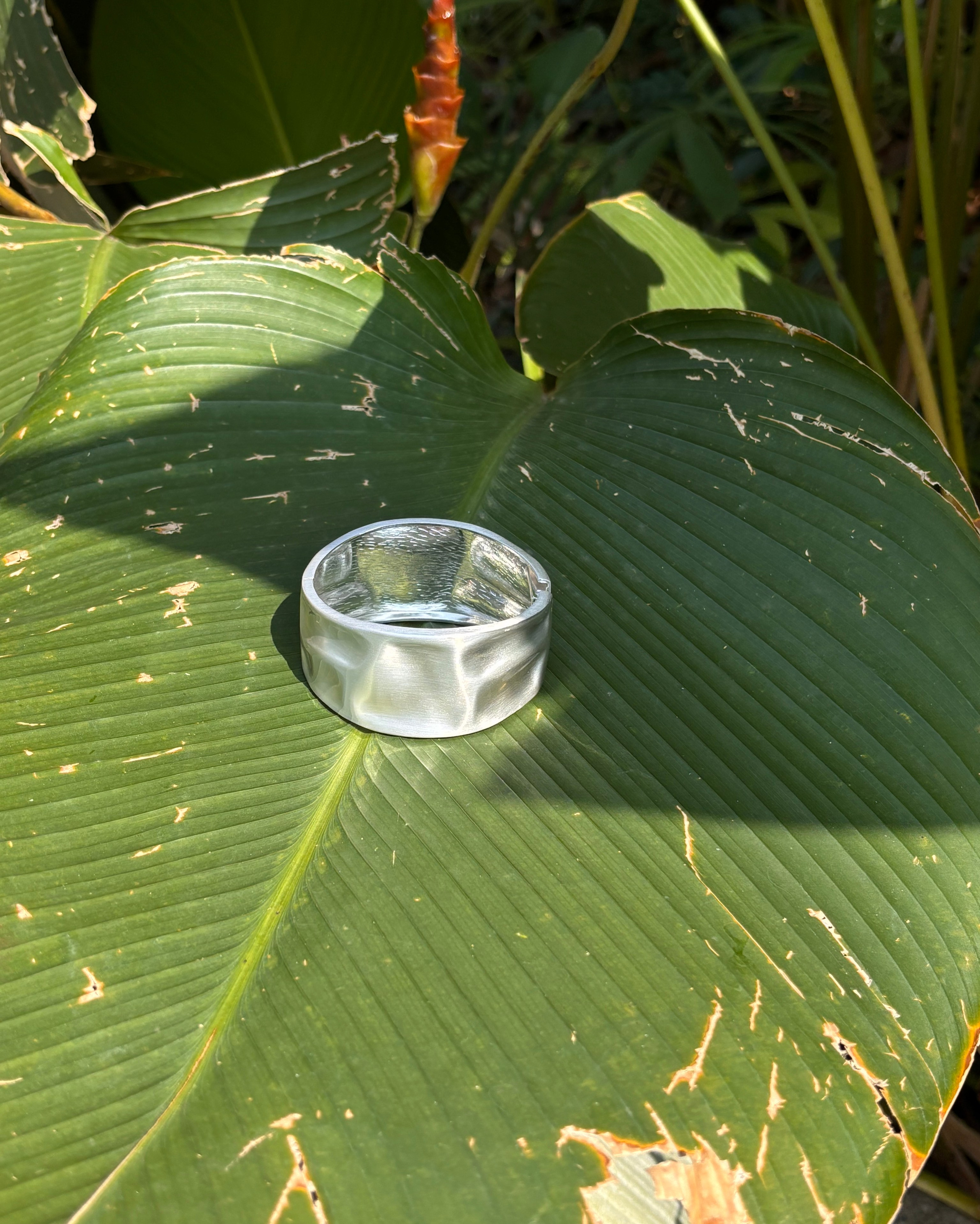 Аксессуары. Iva rent