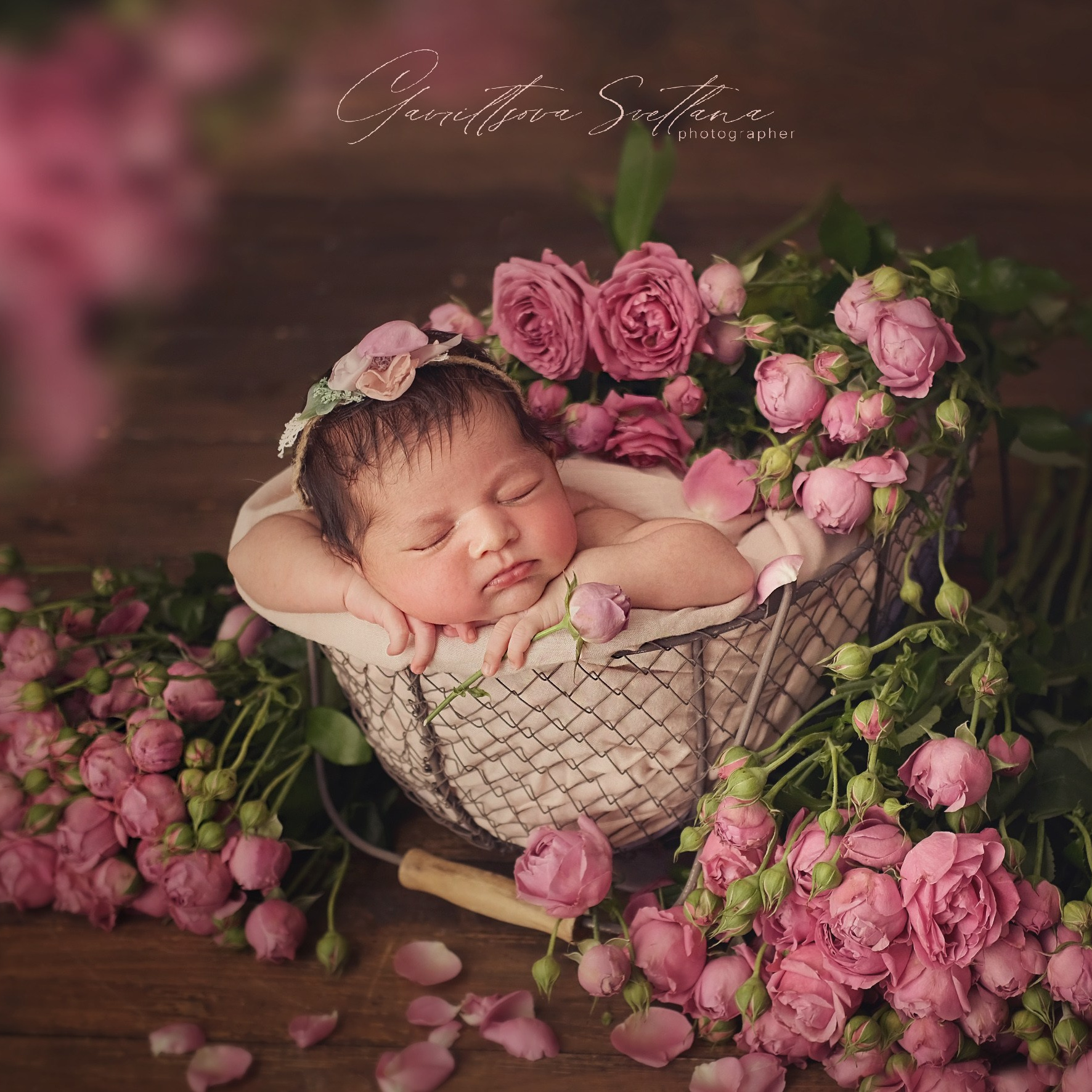 фотографсочи детскийфотографсочи фотографноворожденныхсочи