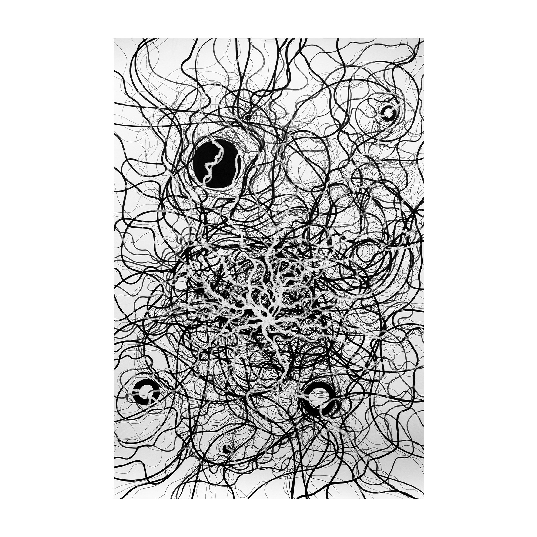 КАРТИНЫ. ANNSENSUS