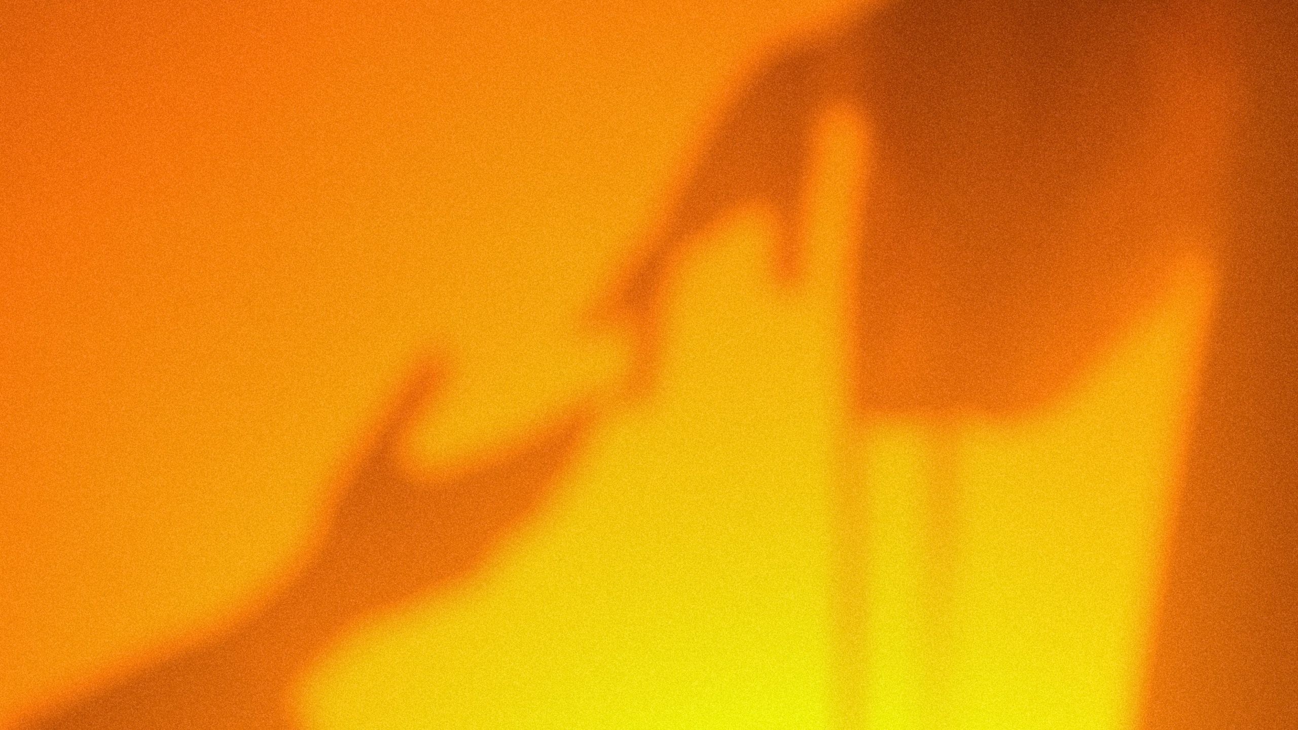 Photographer Mary Sergo