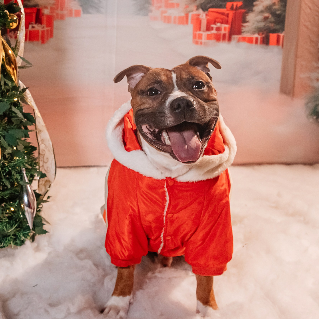 Портфолио. Фотограф Иван Понкратов