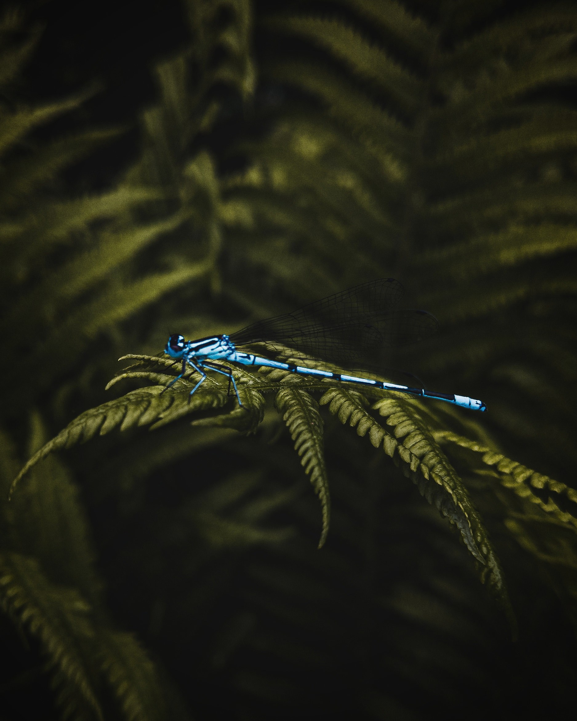 История о кадре. Саватейкин Ярослав | Портретный фотограф в Москве