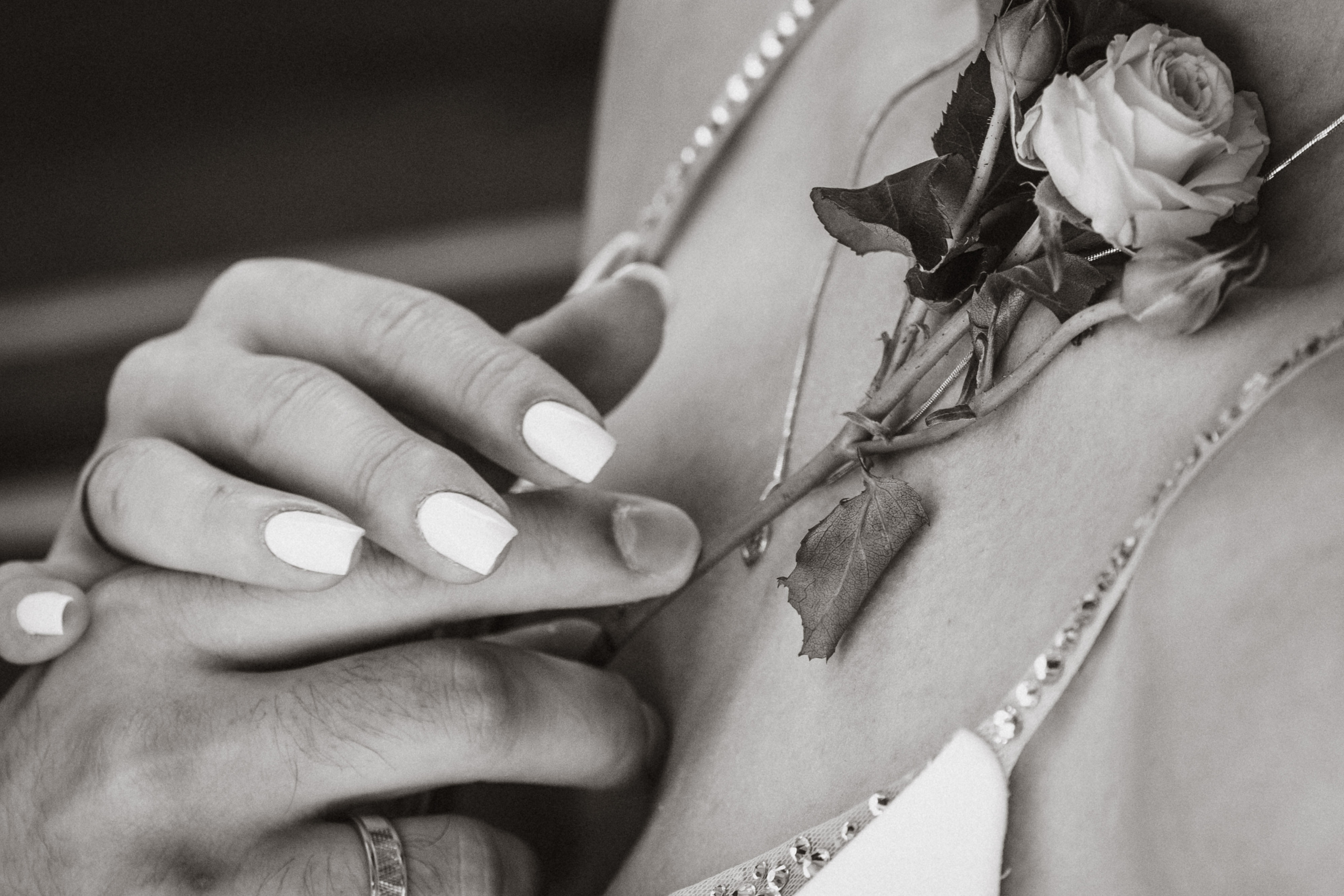 Свадебный и семейный фотограф Даша Петрова в Москве и Подмосковье