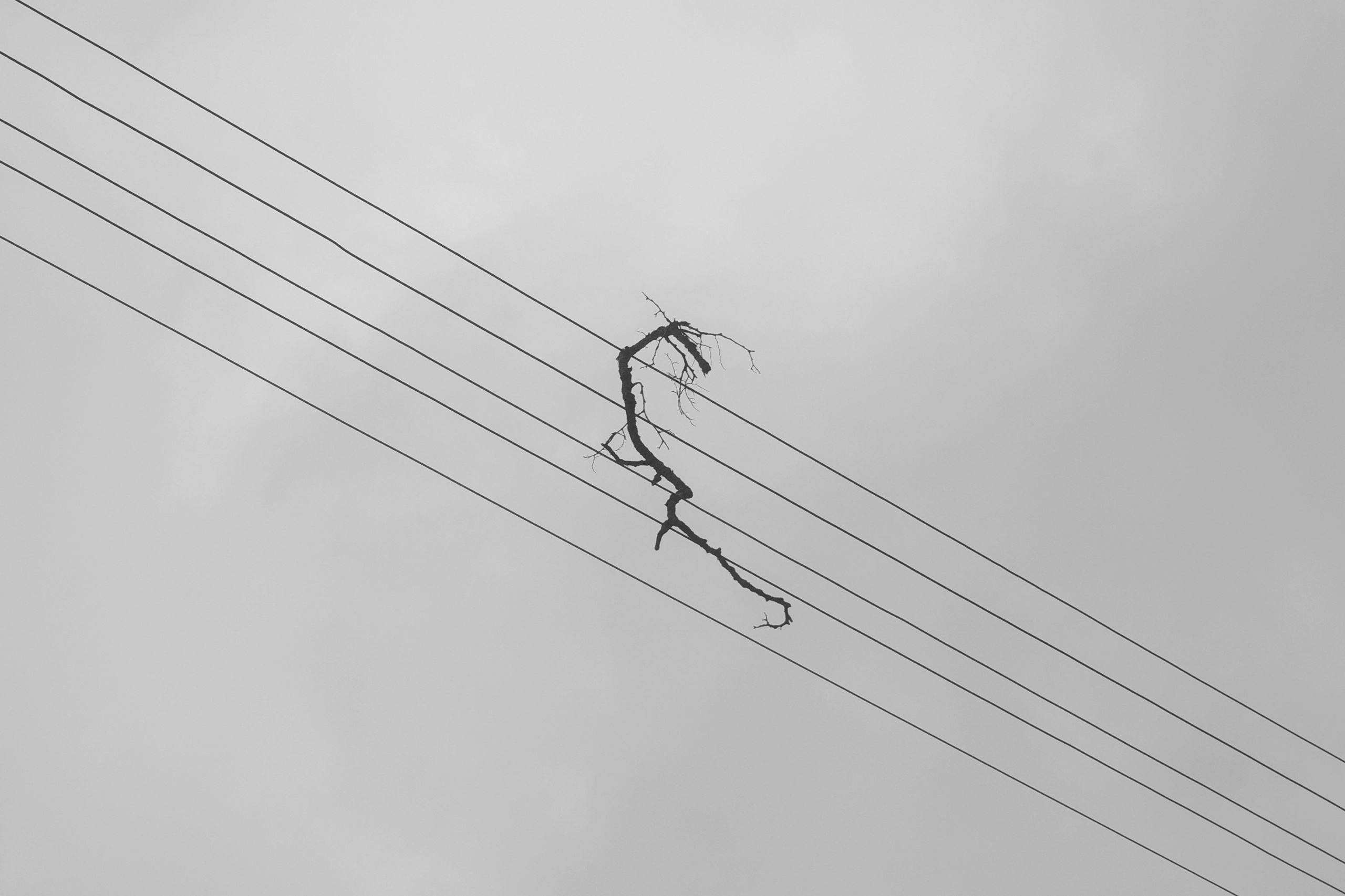 Фотограф Злата Спицына